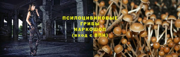 прущие грибы Протвино